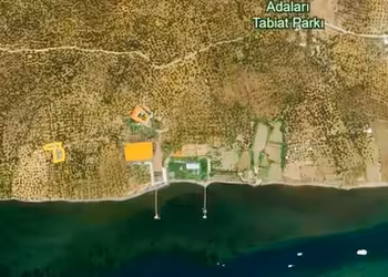 AYVALIK CUNDA ADASINDA FIRSAT YATIRIMLIK ZEYTİNLİK ALANI
