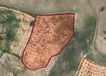 DOĞRU GAYRİMENGULDEN SATILIK FISTIKLIK 7500 m2 BAĞ