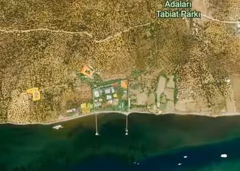 AYVALIK CUNDA ADASINDA FIRSAT YATIRIMLIK ZEYTİNLİK ALANI