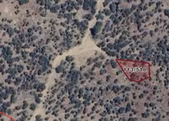 BAYINDIR'DA 695m FIRSAT ZEYTİNLİK SATILIK TARLA