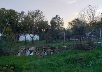 MUDANYA EVCİLER DE 750 M2 BAHÇE İÇİNDE MÜSTAKİL EV
