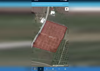 sağlam emlak tan dereköyde 2231 metre yetişkin incirlik