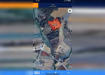 ZİRVEDE HARİKA RESMİ YOLLU TARLA