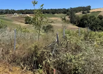 %5 İMARLI KANDIRA MERKEZE yakın köy