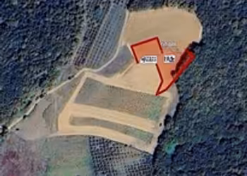 3 Dönüm KULLANIM YOLLU ETRAFI ORMAN