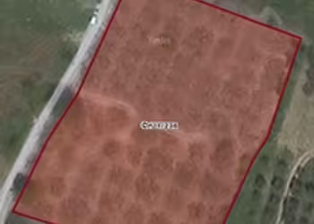 sağlam emlak tan dereköyde 2231 metre yetişkin incirlik