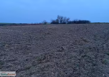 Tekirdağ Hayrabolu Lahana'da Satılık 9.998 M² Tarla