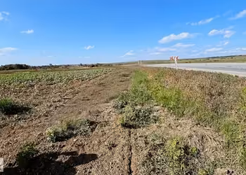 Tekirdağ Hayrabolu Lahana'da Asfalt yola Cephe Satılık Tarla