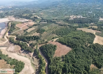 BURSA KESTEL KOZLUÖREN SATILIK 11.113 m2 TARLA